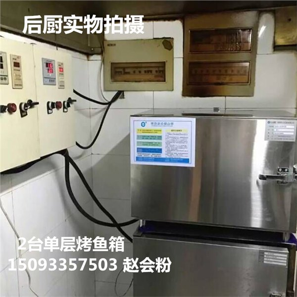卫辉县供应智能单层电烤鱼箱   烤鱼连锁店使用的烤鱼炉价格