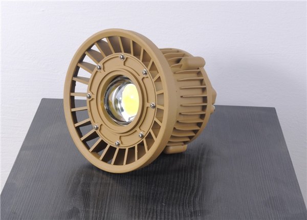 LED30w防爆投光灯