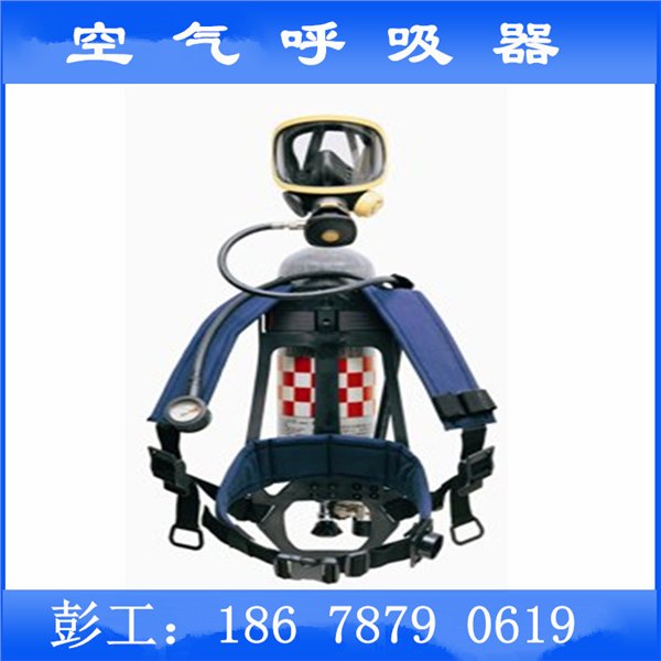 供应原装进口巴固空气呼吸器 霍尼韦尔空气呼吸器 C900空气呼吸器 
