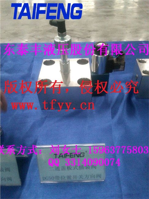 位移电反馈比例插装阀选购|位移电反馈比例插装阀图片|泰丰股份
