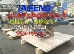 单泵系统批发|泰丰股份|单泵系统推荐