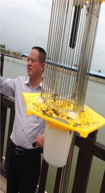 正品太阳能杀虫灯价格-智能太阳能杀虫灯哪家好