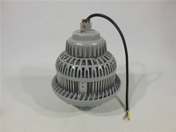 GCD810化工厂加油站用吊装壁装LED防爆灯100W