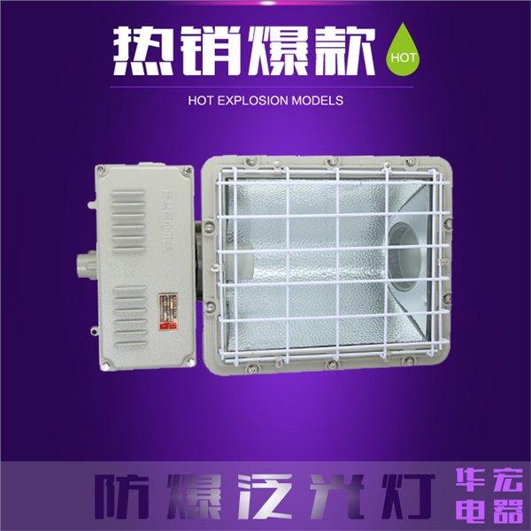 BAT53 防爆泛光灯