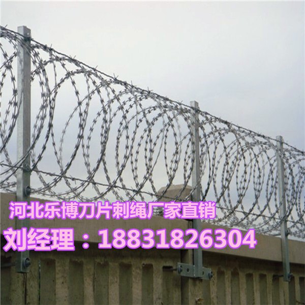 哈尔滨刀片刺绳黑龙江刀片刺网伊春刺丝滚笼防护网