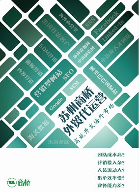 十大专业出口代运营品牌商桥电子商务技术性价比最高