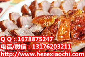 菏泽正宗特色茶油鸭技术定陶培训馋嘴鸭做法手把手教你