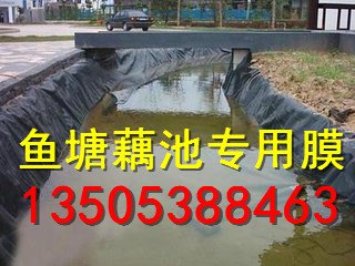 人工湖防渗膜;《养殖膜》景观湖防渗膜  