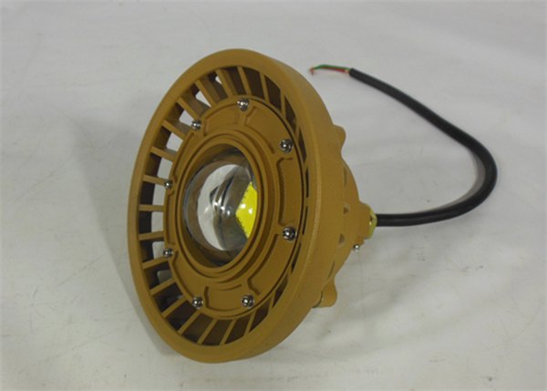 LED防爆投光灯20W30W护栏式防爆灯BFC8150B
