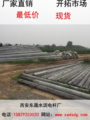 延安监控电杆多少钱