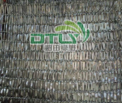 山东香菇遮阳网