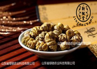 山东东营铁皮石斛治疗三高有妙方