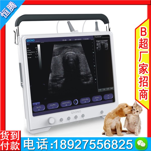 平板b超机 A3型触摸屏b超  AloftAce牌黑白b超宠物b超机 
