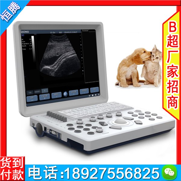 宠物b超机 A6型笔记本b超  AloftAce牌进口b超 宠物医院b