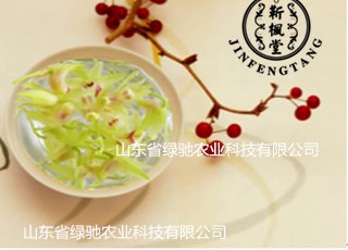 山东东营铁皮石斛致富有道 能点“石”成真 
