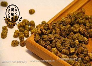 山东东营种植的铁皮石斛是九大仙草之一 