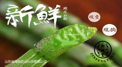 山东东营铁皮石斛肝脏的清道夫