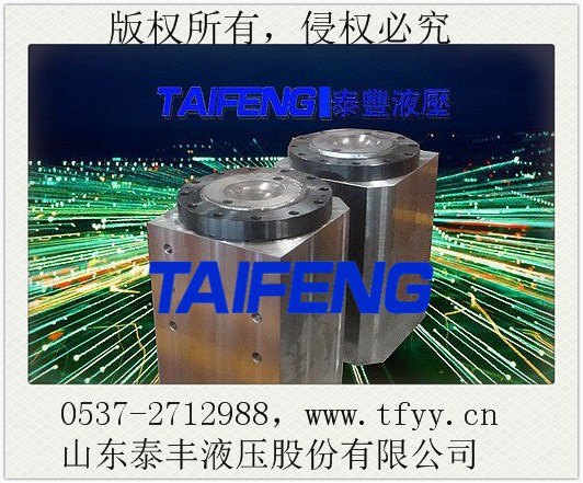 液压剪板机油缸品牌泰丰股份液压剪板机油缸结构
