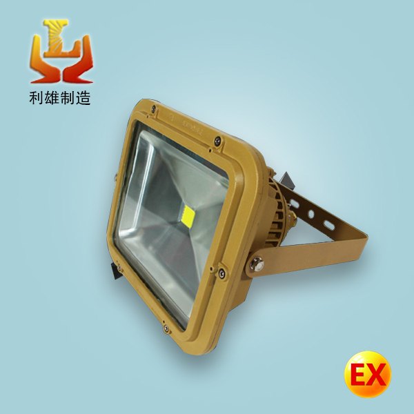 LED防爆投光灯60W70W防爆吸顶灯厂用防爆壁灯