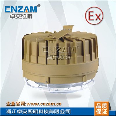 ZBW503免维护节能防爆吸顶灯