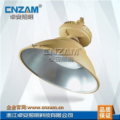 ZBW510免维护节能防水防尘防腐工厂灯