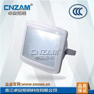 防爆通路灯NSC9720