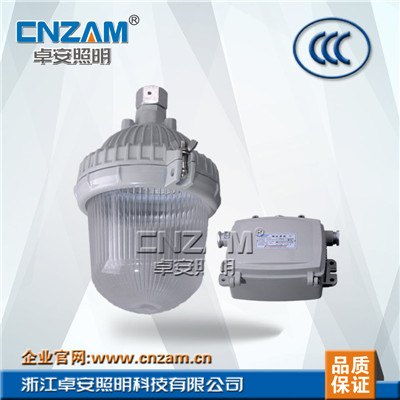 NFC9112防眩泛光灯