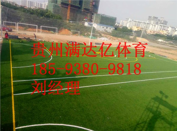 贵阳市人造草皮经销商优惠报价