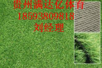 清镇人造草皮产品的详细说明