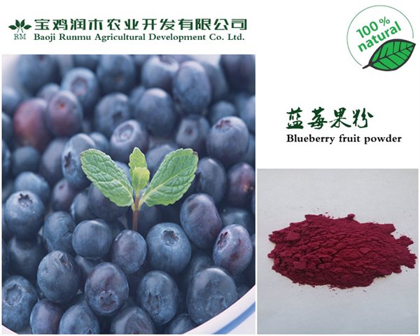 现货供应蓝莓提取物4:1 保护视力