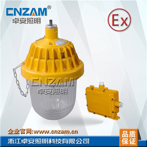 BPE8720防爆应急平台灯