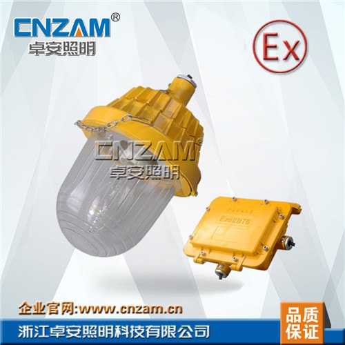 BPC8720防爆平台灯