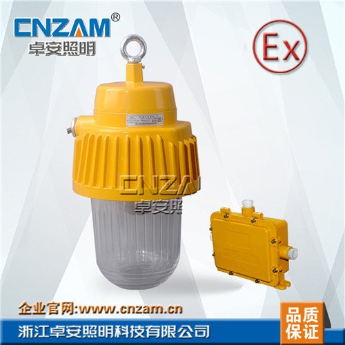 防爆应急平台灯BPE8730