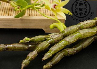 山东东营铁皮石斛能达到解酒的效果