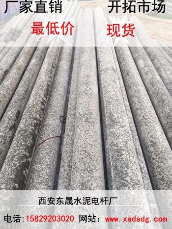 三门峡监控电杆报价