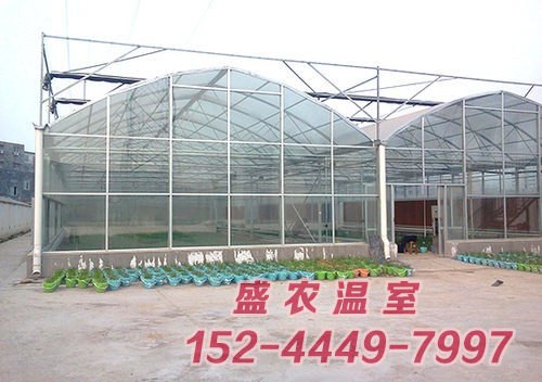 连栋温室大棚工程建设