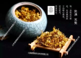 东营铁皮石斛是为您准备最好的送礼佳品