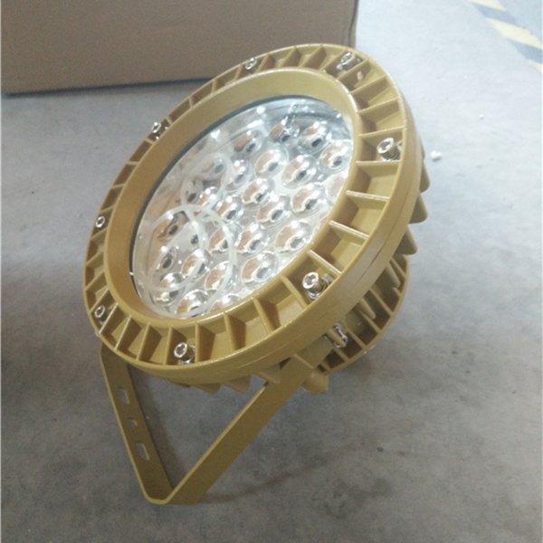 利雄厂家直销30W40W隔爆型LED防爆泛光灯防爆吸顶灯