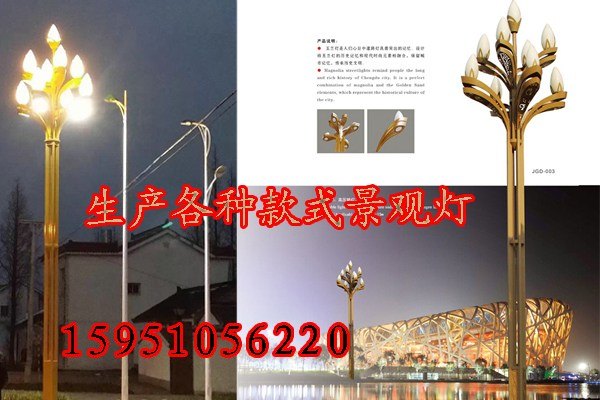 LED景观灯恒华照明太阳能路灯厂家