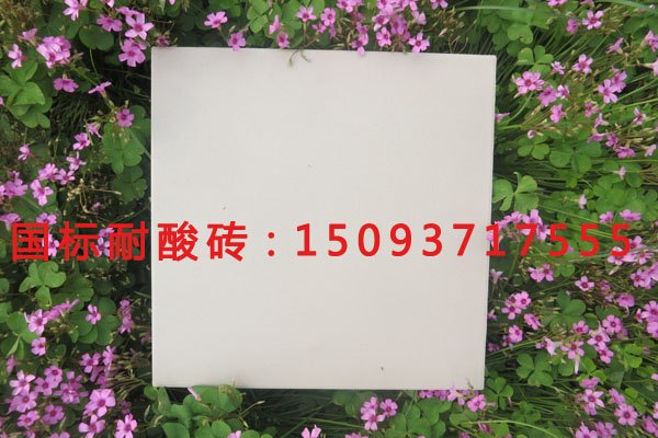 供应耐酸砖市场--酒香不怕巷子深--中冠耐酸瓷砖有特点