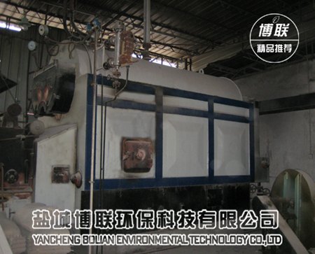 连云港灌南6吨燃煤工业锅炉改造生物质