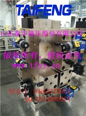 泰丰股份WC67Y系列折弯机阀组厂家WC67Y系列折弯机阀组批发