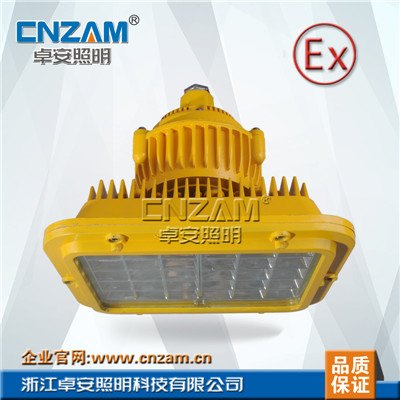 供应防爆灯ZBD109