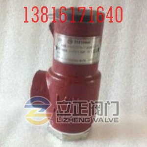 12GJ22FNCF冷冻机用安全阀