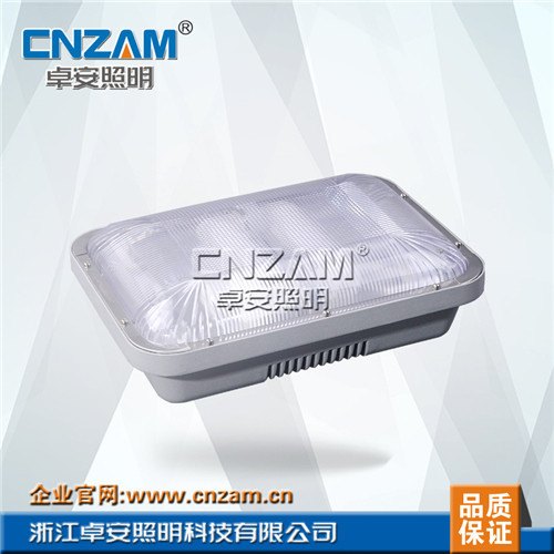 长寿顶灯NFC9175防爆灯