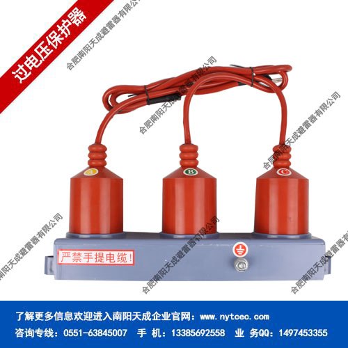 电容型GPT-R-42/110氧化锌避雷器  南阳天成