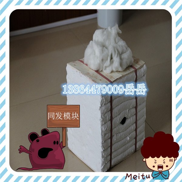 硅酸铝纤维模块 保温叠块 陶瓷纤维模块环保专用