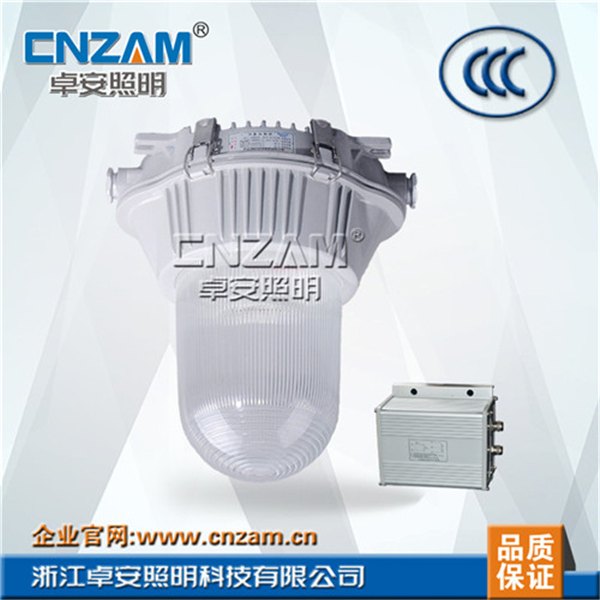 供应NFE9180眩防应急泛光灯NFE9180泛光灯