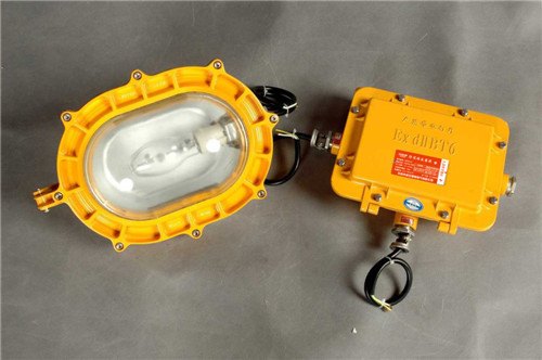BFC8120内场强光防爆泛光灯/海洋王粉尘应急灯/IP65