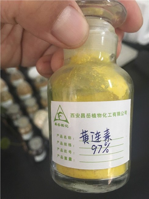 厂家现货供应黄连素